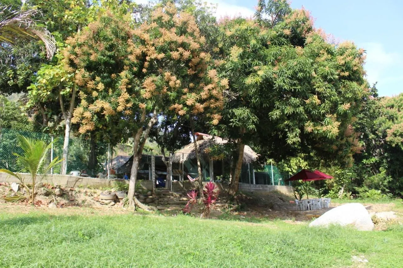 Guest house Hostal Tranquilandia Tayrona Santa Marta